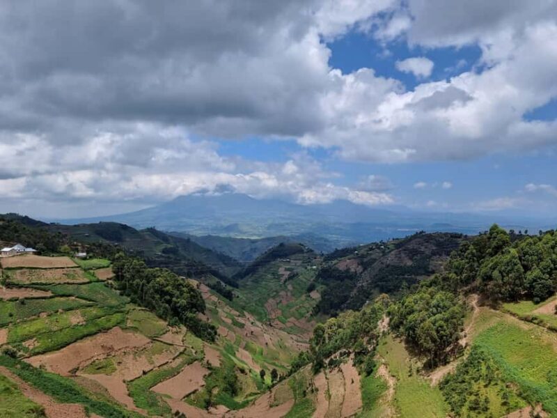 Uganda and Rwanda: 8-Day Gorillas and Wildlife Safari - Key Points