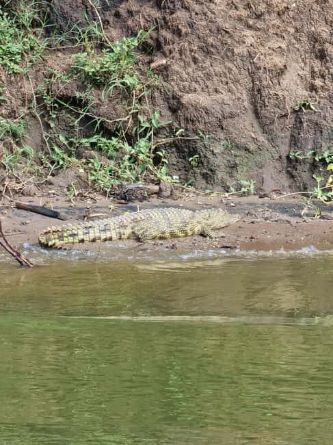 Uganda and Rwanda: 8-Day Gorillas and Wildlife Safari - Final Thoughts