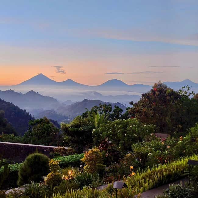 Uganda: Big Five Safari Adventure with Gorilla Trekking - An Honest Look at the Safari Itinerary
