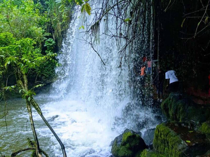 Uganda :Chimpazee Trekking at Kibale Park & Fort Portal tour - What to Keep in Mind