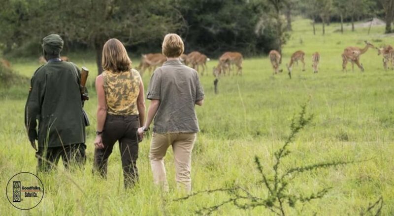 UGANDA EXOTIC SAFARI  BUSH CAMP RETREAT | 4-Day Luxury - Practical Tips for Your Safari