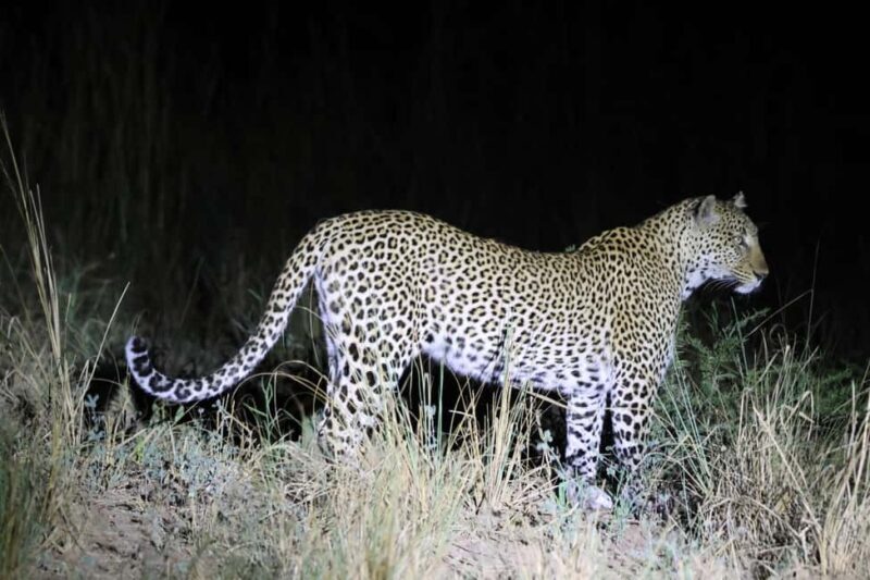 Uganda: Murchison Falls National Park - FAQ