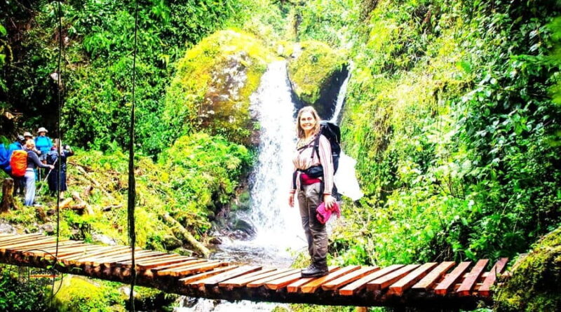 UGANDA RWENZORI  WATERFALLS & MONTANE ALLURE | 6-Day Hike - An In-Depth Look at the 6-Day Rwenzori Trek