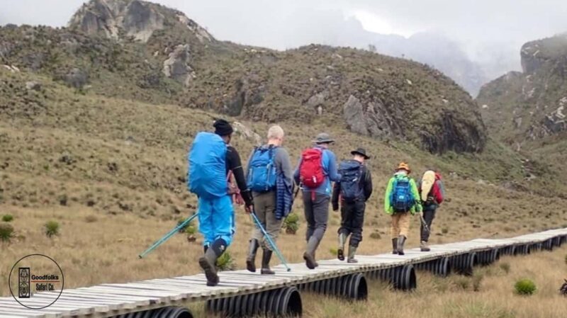 UGANDA RWENZORI  WATERFALLS & MONTANE ALLURE | 6-Day Hike - The Sum Up