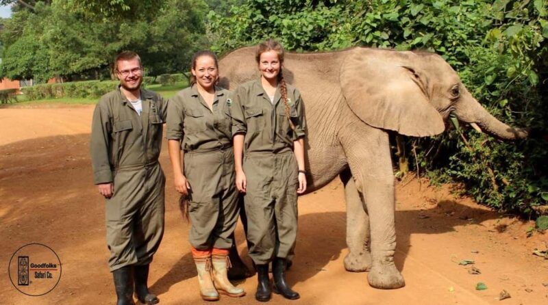 UGANDA SANCTUARY  JOURNEY THE CONSERVATION WORLD | 5-Days - Key Points
