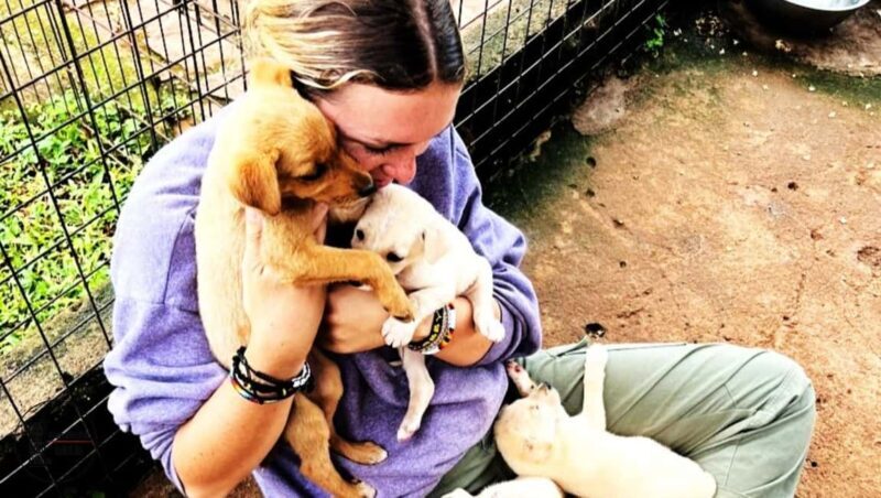 UGANDA  WAGYTAILS  HORSE CUDDLES  ZOO TALES  MINI-SAFARI - Uganda Wagytails: An In-Depth Look