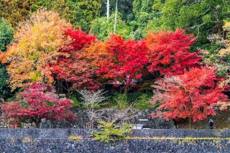 Uji Eternal: Temples, Tea, & the Flow of Japanese Tradition - FAQs