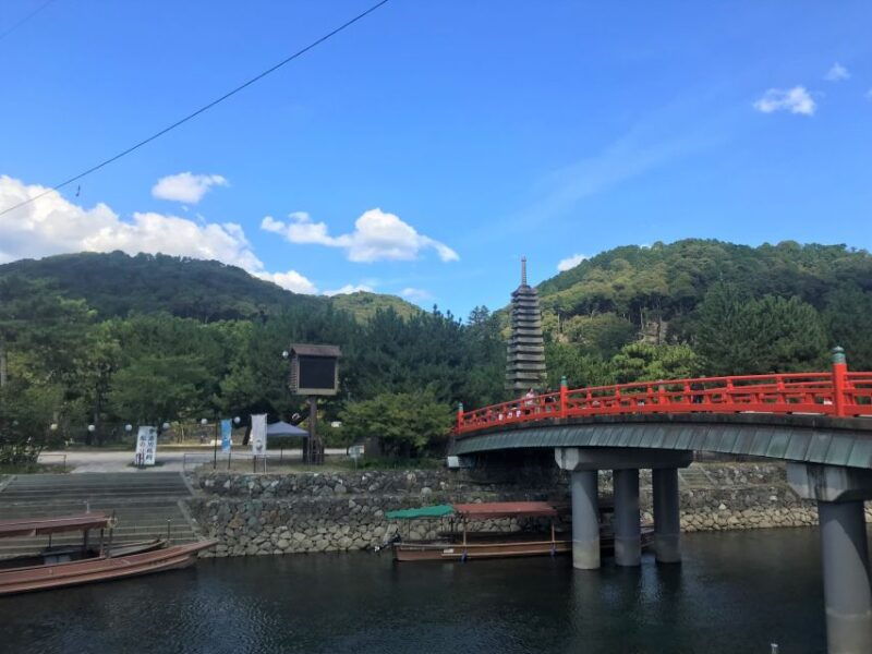 uji-green-tea-tour-with-byodoin-and-koshoji-temple-visits