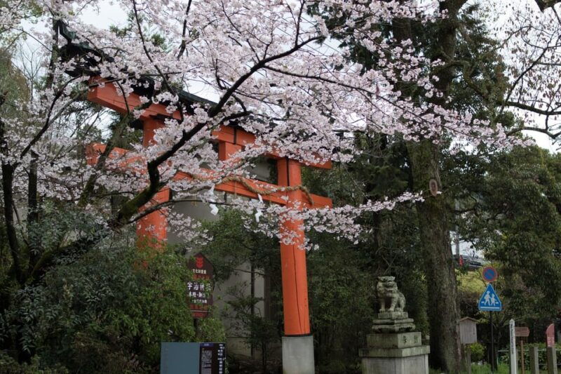uji-unesco-heritage-tea-ceremony-walking-tour