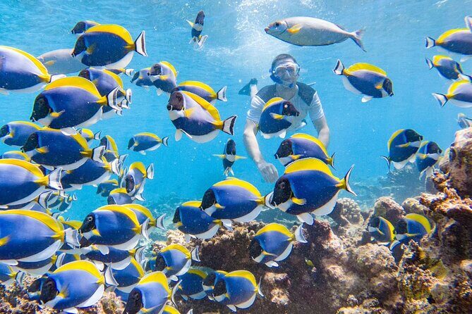 Ukulhas Tour A - 3 Points Snorkeling Tour - Key Points