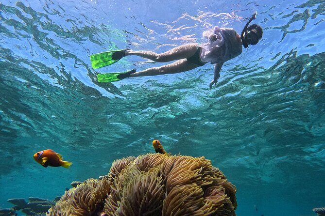 Ukulhas Tour A - 3 Points Snorkeling Tour - An In-Depth Look at the Ukulhas Snorkeling Experience