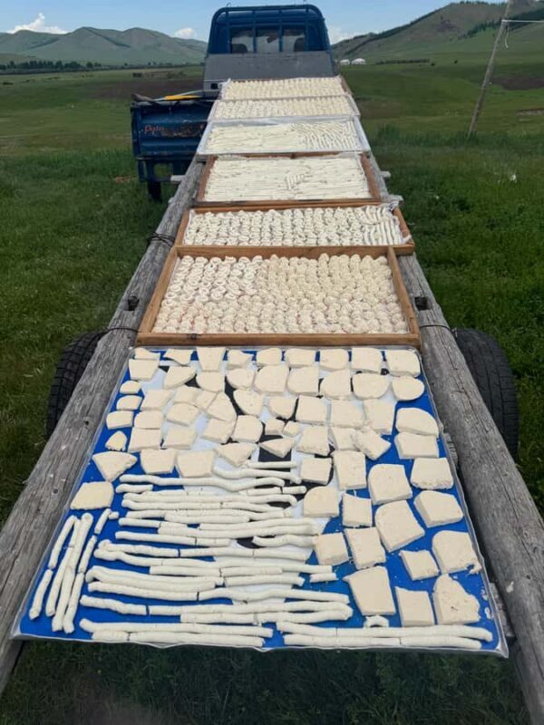 Ulaanbaatar: 7-Day Central Mongolia Tour with Meals - Final Thoughts