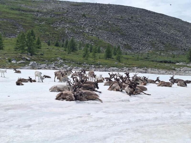 Ulaanbaatar: 9-Day Northern Mongolia Reindeer Adventure - Final Thoughts: Who Will Love This Tour?