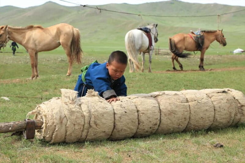 Ulaanbaatar: Mongol Nomadic Show & Wild Horse Watching Day - Key Points