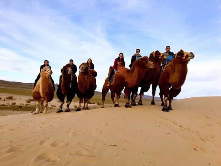 Ulaanbaatar: Semi-Gobi Desert Day Trip & Camel Ride - Who Would Love This Tour