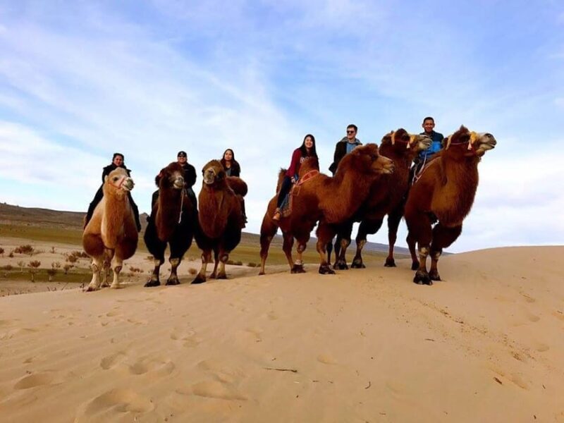 Ulaanbaatar: Semi-Gobi Desert Day Trip & Camel Ride - Frequently Asked Questions