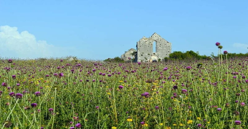 Ulcinj: Lake as and abandoned city Sva Half-Day Trip - Discovering Lake Sas and Svac: An Authentic Montenegrin Experience