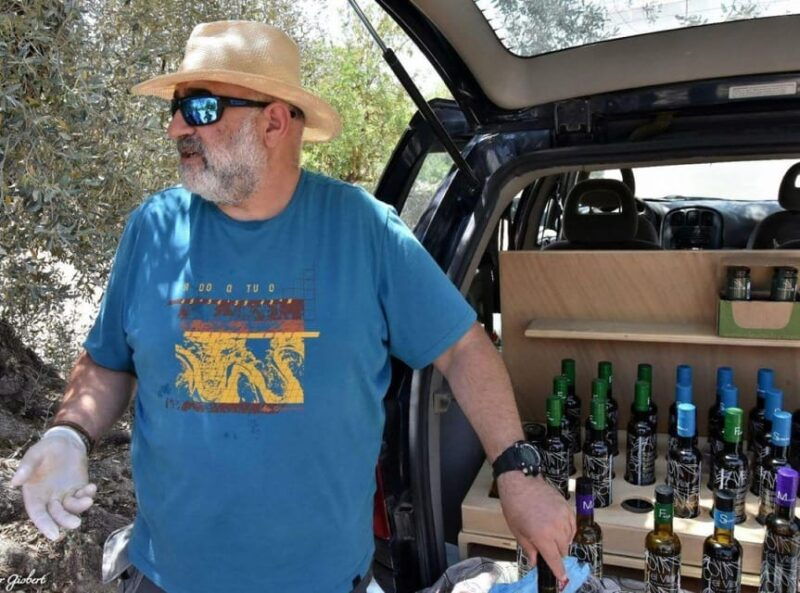 ulldecona-guided-tour-of-the-millenary-olive-trees-of-arion