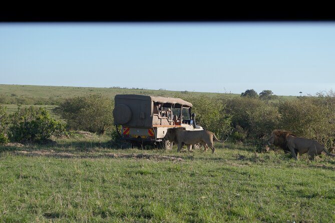 Ultimate 12 Days Private Safari Tour in Kenya and Tanzania - An In-Depth Look at the Safari Itinerary