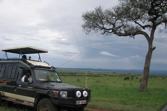Ultimate 12 Days Private Safari Tour in Kenya and Tanzania - Notes for Potential Travelers