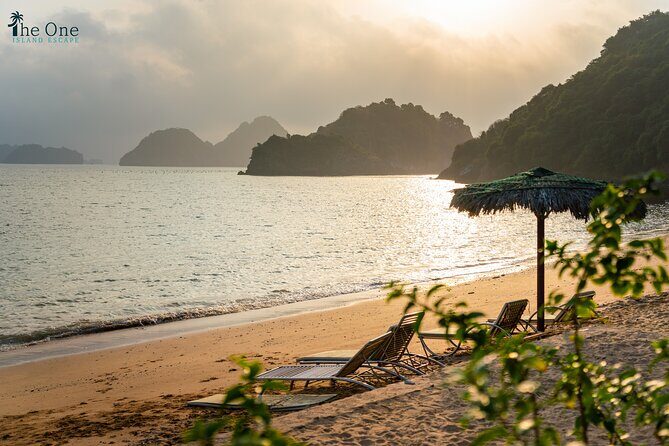 Ultimate 3-Day Oasis Cruise With Paradise Island Adventure - Final Thoughts