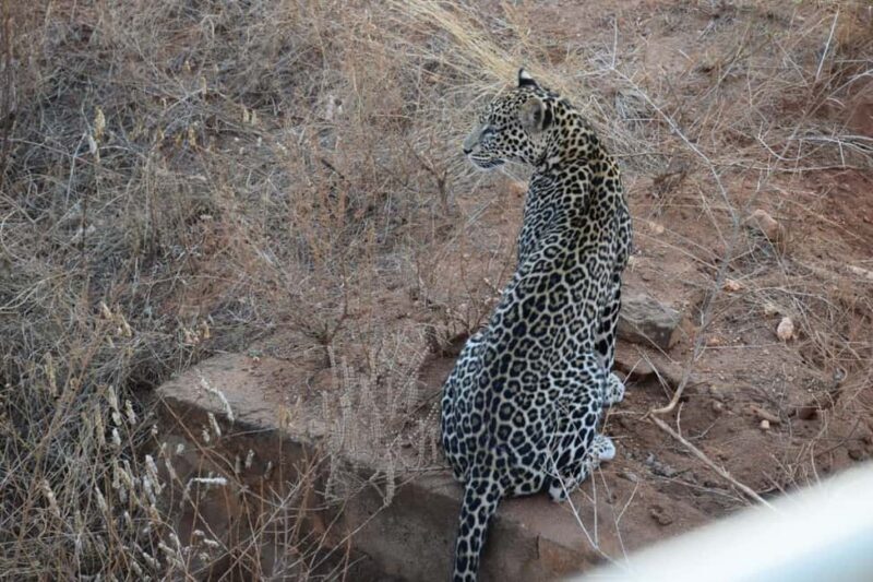 Ultimate 5 Days Amboseli Tsavo West & Tsavo East Safari. - Key Points