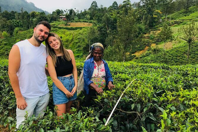 Ultimate 8-Day Sri Lanka Adventure: Private Guided Tour - Introduction