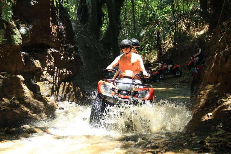 ultimate-adventure-with-bali-tarantula-atv-hotel-transfer