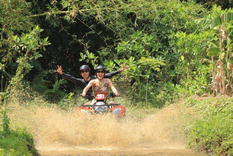 ultimate-adventure-with-bali-tarantula-atv-hotel-transfer