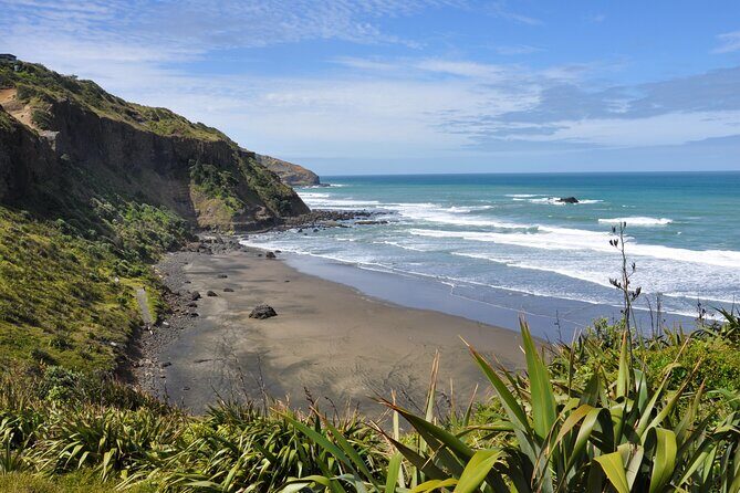 Ultimate Auckland Experience Full Day Tour with Brewery Lunch - Who Will Love This Tour?