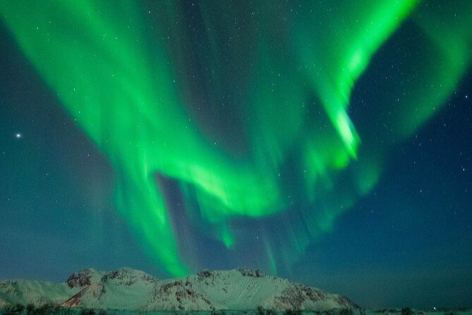 ultimate-aurora-hunt-northern-lights-van-tour-with-hot-drinks