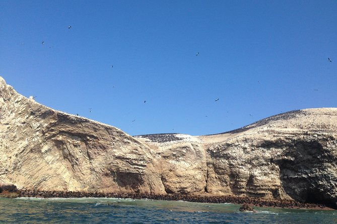 ultimate-comfort-lima-to-huacachina-ballestas-and-vineyard