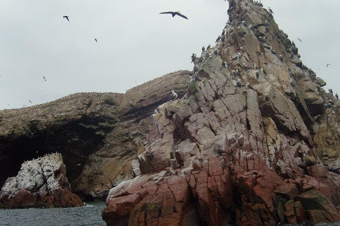 ultimate-comfort-lima-to-huacachina-ballestas-and-vineyard