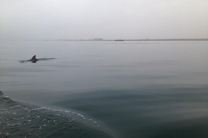 ultimate-comfort-lima-to-huacachina-ballestas-and-vineyard