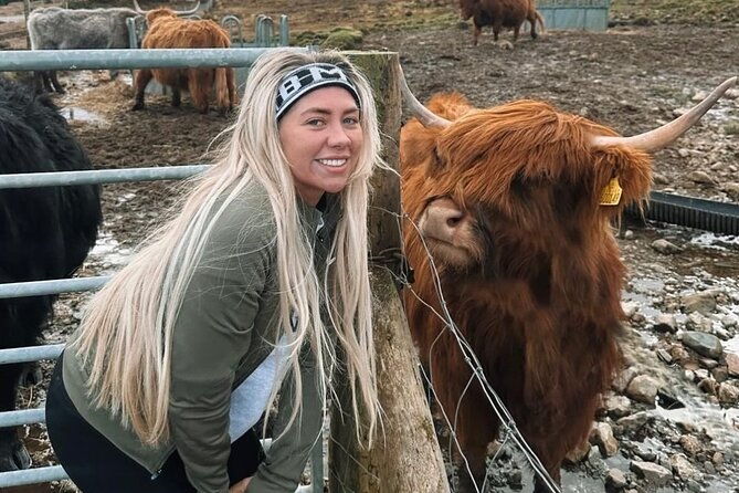 ultimate-day-tour-edinburgh-glencoe-highland-cows-loch-lomond