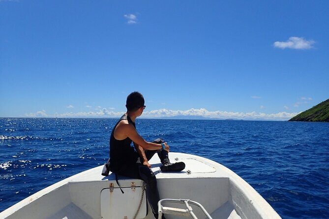 Ultimate Encounter Snorkel with Sharks in Fiji - Authentic Experiences from Reviews