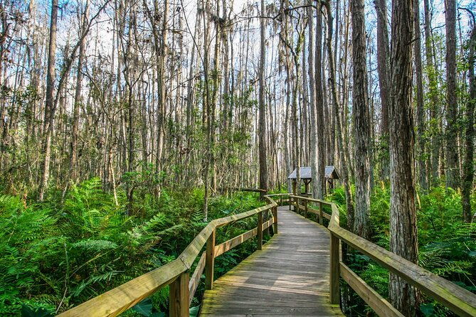 ultimate-florida-self-guided-driving-walking-audio-tour-bundle