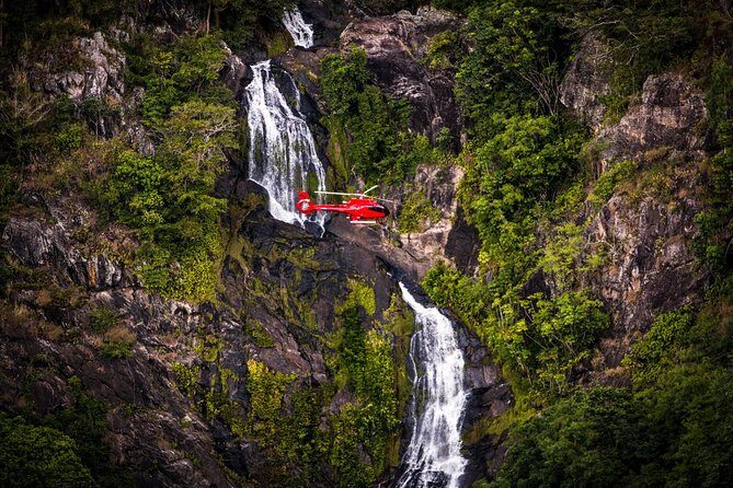 Ultimate Great Barrier Reef and Rainforest 45-minute Helicopter Tour - The Experience: What’s Included and How It Unfolds