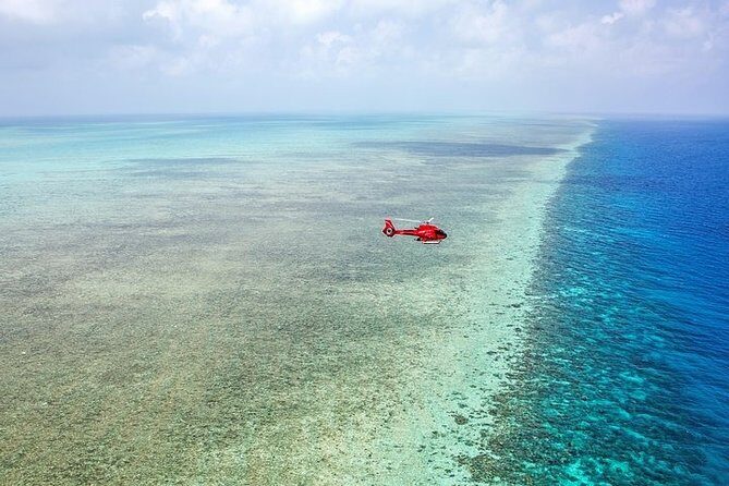 Ultimate Great Barrier Reef and Rainforest 45-minute Helicopter Tour - Final Thoughts: Who Is This Tour Perfect For?