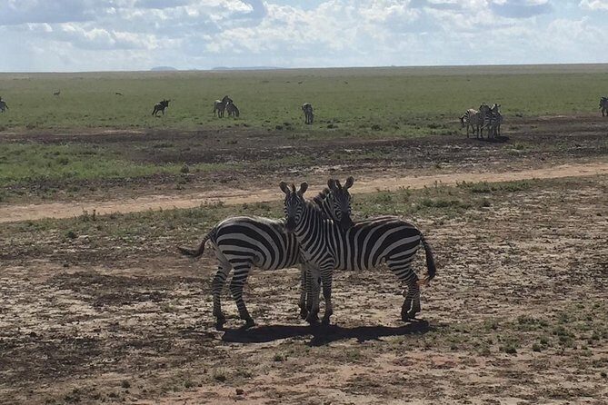 Ultimate Guide For The Best 4-Days Serengeti Safari in Tanzania - Ultimate Guide For The Best 4-Days Serengeti Safari in Tanzania