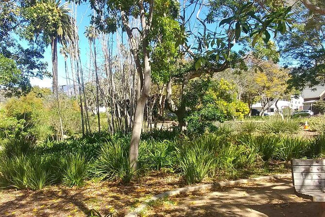 ultimate-guide-to-santa-barbara-a-gps-self-guided-urban-stroll