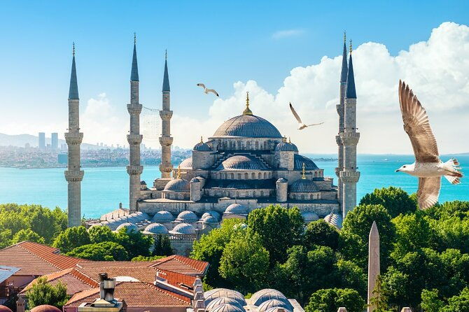 ultimate-istanbul-experience-1-or-2-day-private-guided-tour