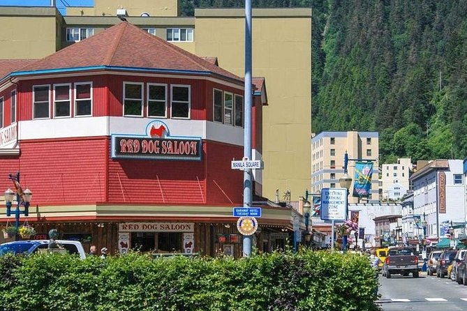 ultimate-juneau-whale-watch