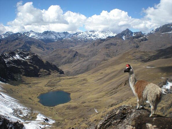 ultimate-lares-trek-inca-trail-5-days