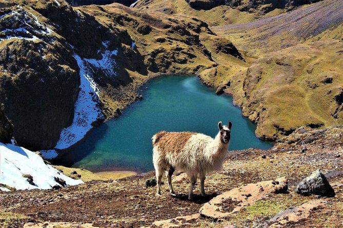 ultimate-lares-trek-inca-trail-5-days