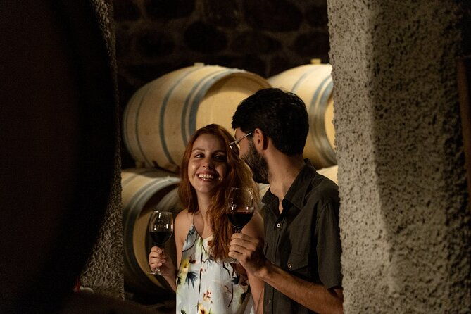 ultimate-maipu-adventure-winery-tour-gourmet-lunch