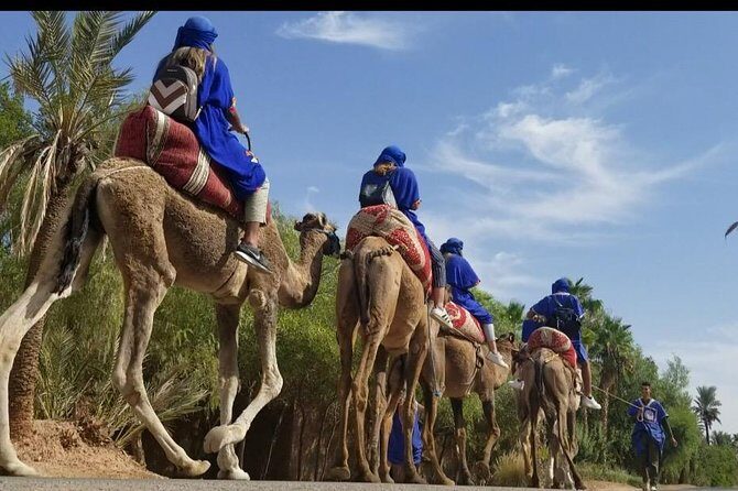 Ultimate Marrakech Desert Adventure: Camel Rides & Buggy Thrills - The Practical Side: Booking, Price, and Group Size
