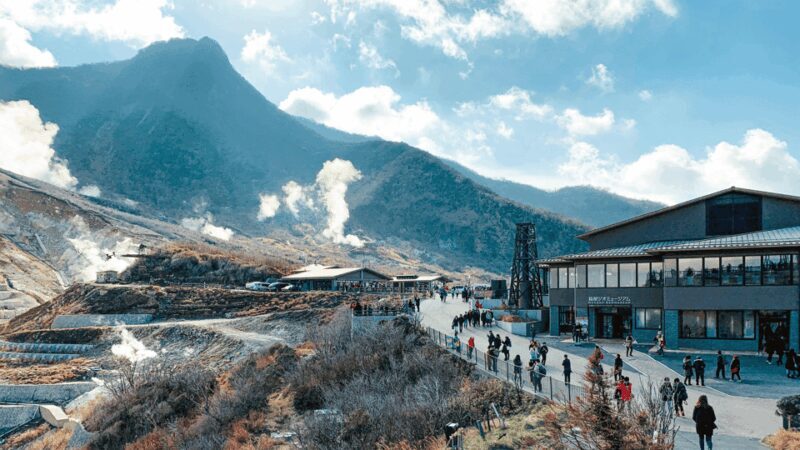 Ultimate Mt. Fuji Private Escape: Day Trip from Tokyo - Optional Thrill at Fuji-Q Highland