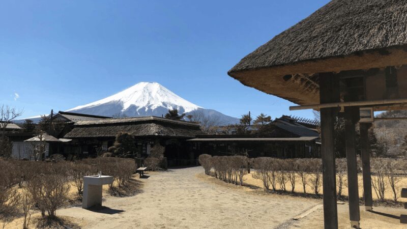 Ultimate Mt. Fuji Private Escape: Day Trip from Tokyo - Relaxation and Shopping
