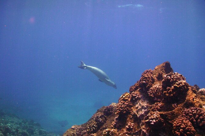 ultimate-na-pali-coast-zodiac-boat-snorkeling-and-sea-cave-tour
